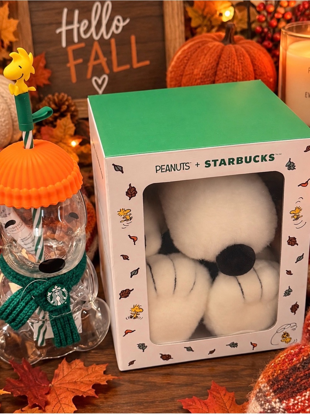 Snoopy glass cup and plush